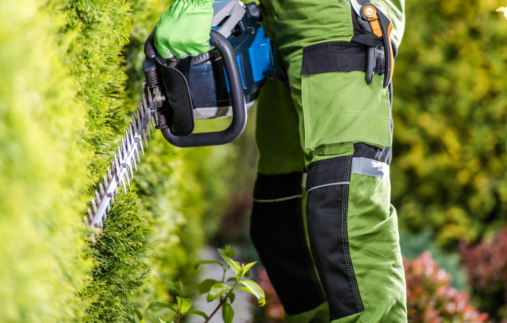 Entretien des espaces verts-vereecque-groupe